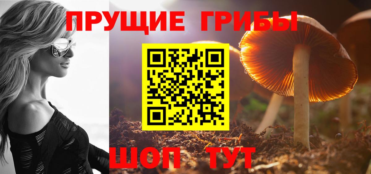 Алушта  Галлюциногенные грибы Psilocybe  Вход с VPN  Галлюциногенные грибы Psilocybine cubensis 